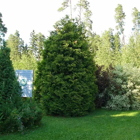 Aliisa Hotel Loimaa