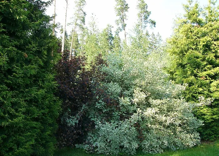 מלון Hotelli Aliisa