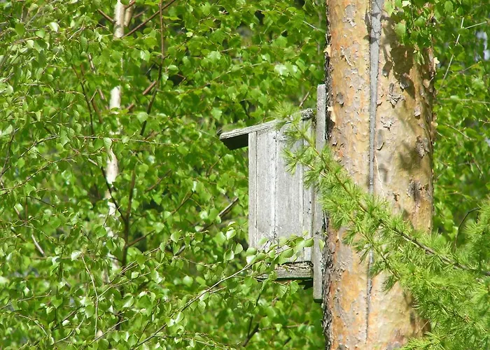 Hotelli Aliisa מלון